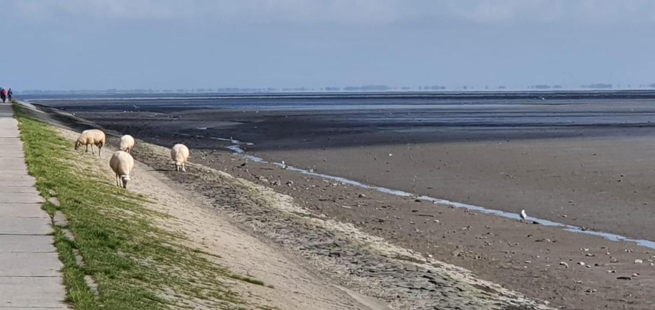 Fewo Mit Meerblick - Direktzugang Zur Nordsee Lägenhet Wilhelmshaven Exteriör bild